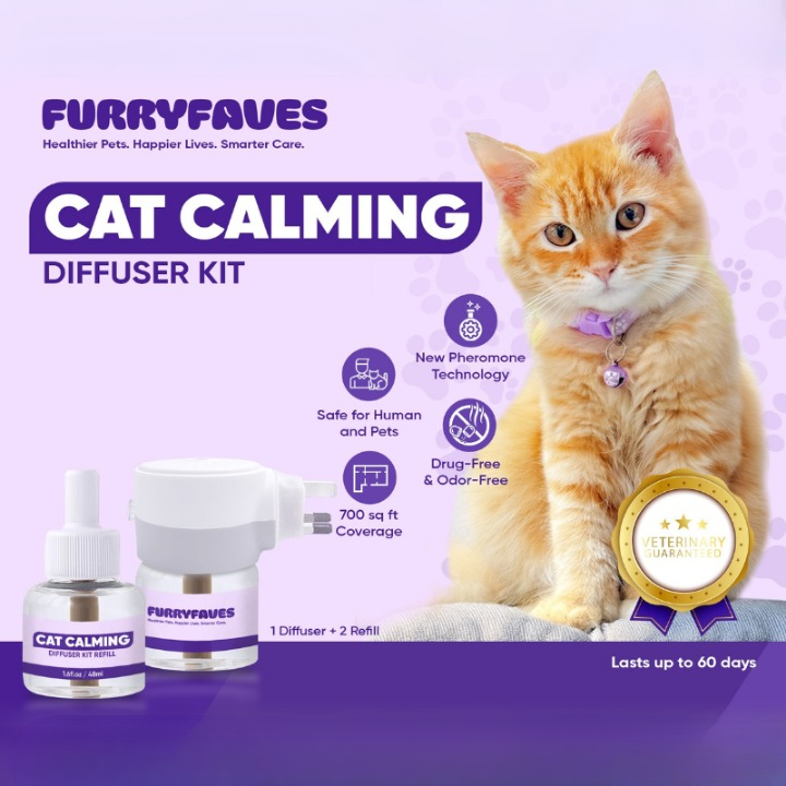 Cat Collections